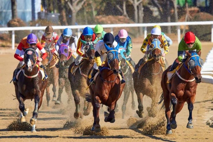 145th Kentucky Derby 2019 Betting Guide
