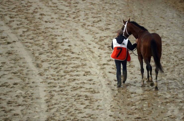 What Was The Deal With The Disqualification In The Kentucky Derby?