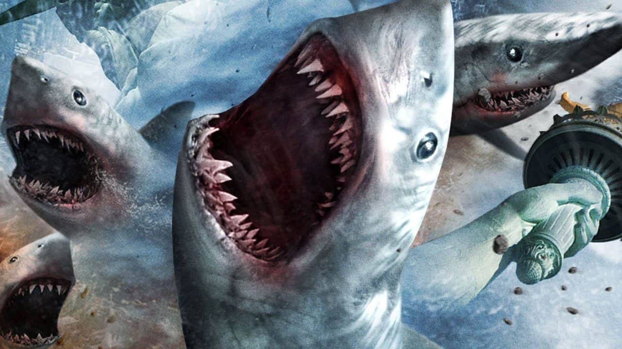 Enough With The Shark Attack Hysteria
