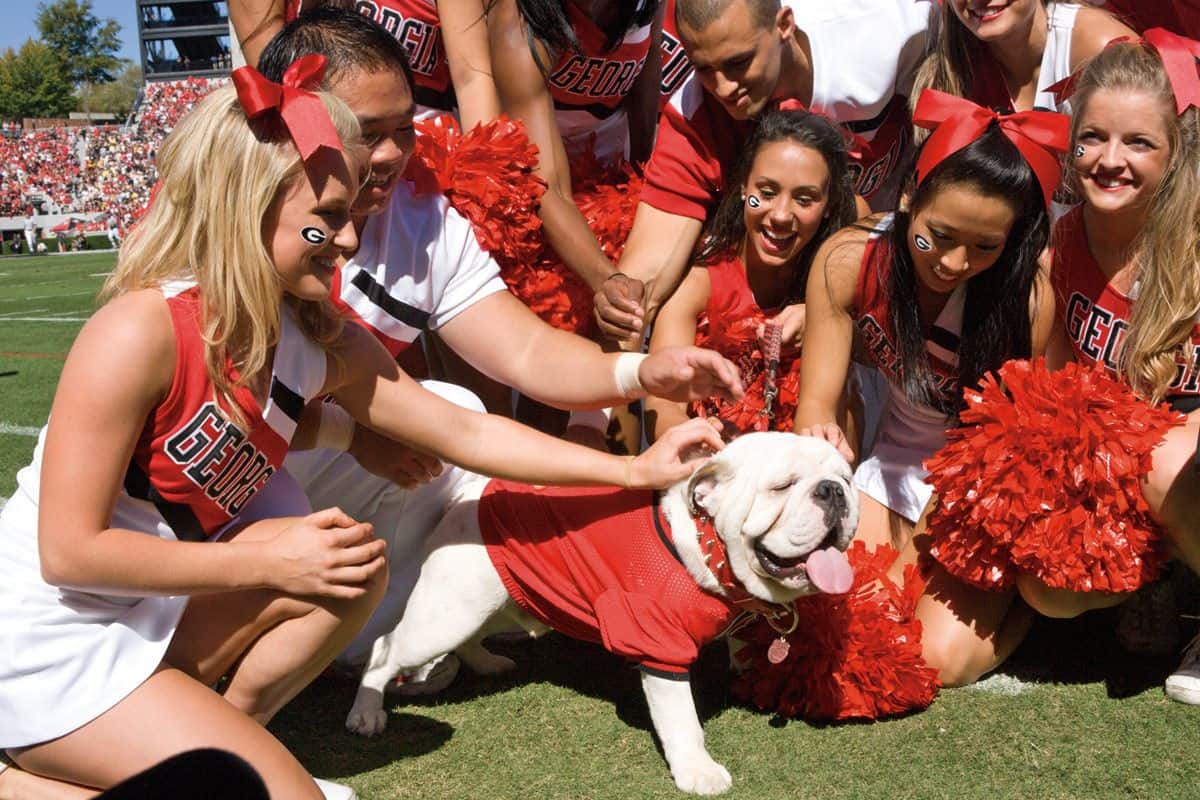 College Football Betting: Georgia at Auburn