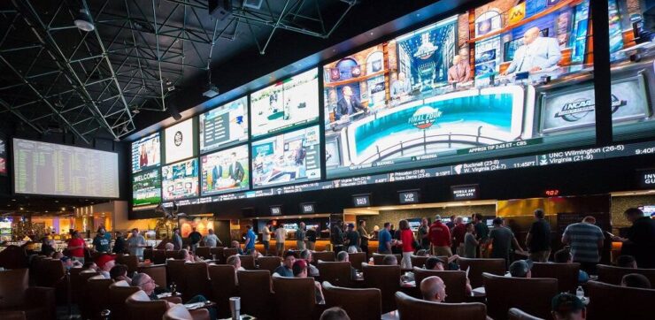 Sportsbooks Win Big, Futures In Disarray After Baltimore Ravens Loss