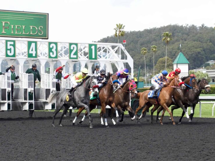 North American Horse Racing Continues Taking Hits From Pandemic