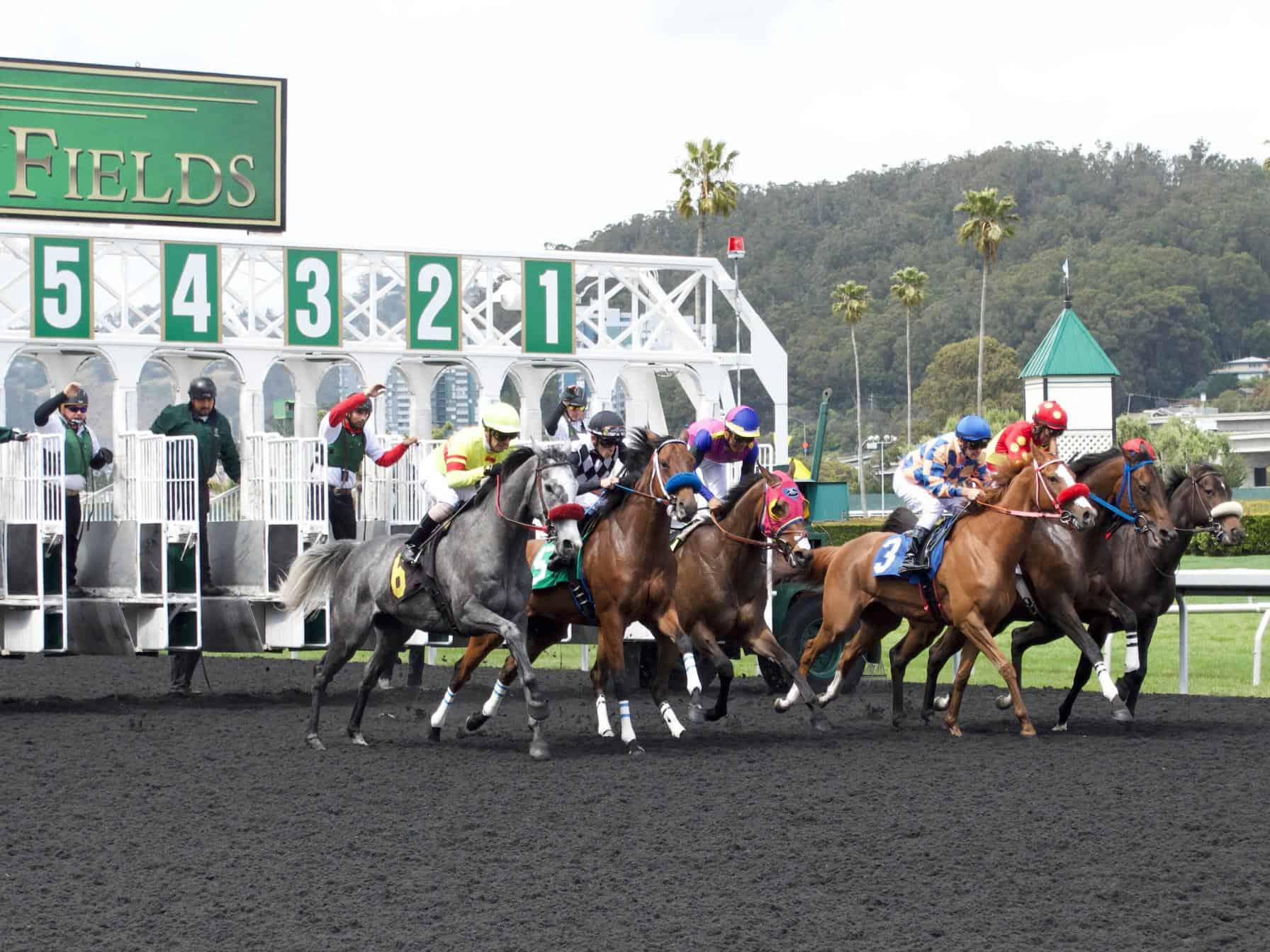 North American Horse Racing Continues Taking Hits From Pandemic