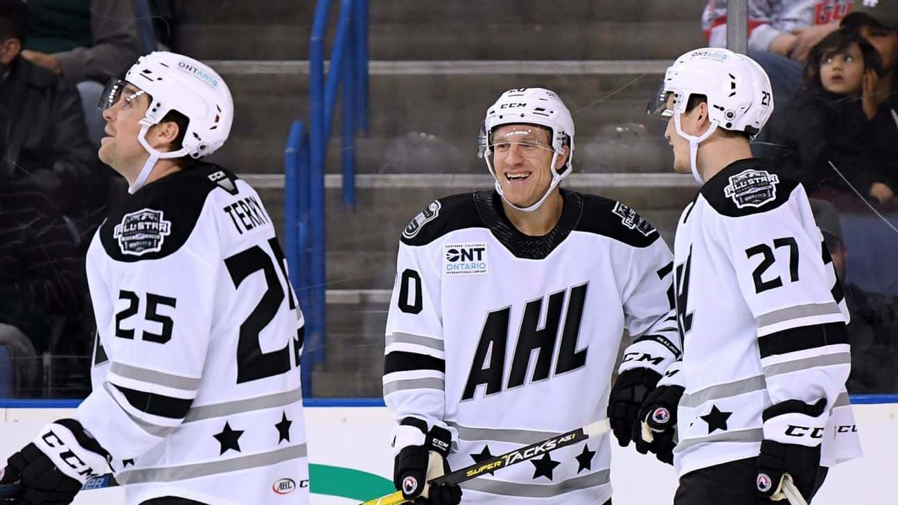 American Hockey League Cancels Remainder Of Season Due To COVID-19 Pandemic
