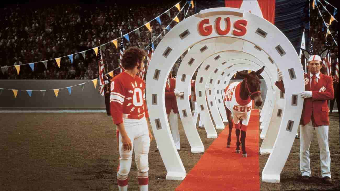 Pac-12, Mountain West Conferences To Play Football This Fall After All
