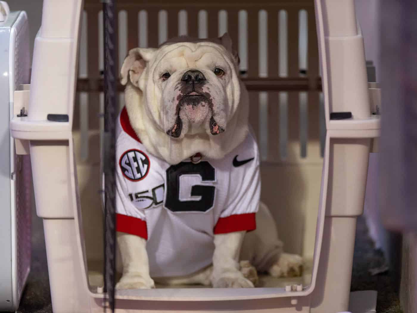 Another SEC Game Postponed As Georgia vs. Missouri Goes Down