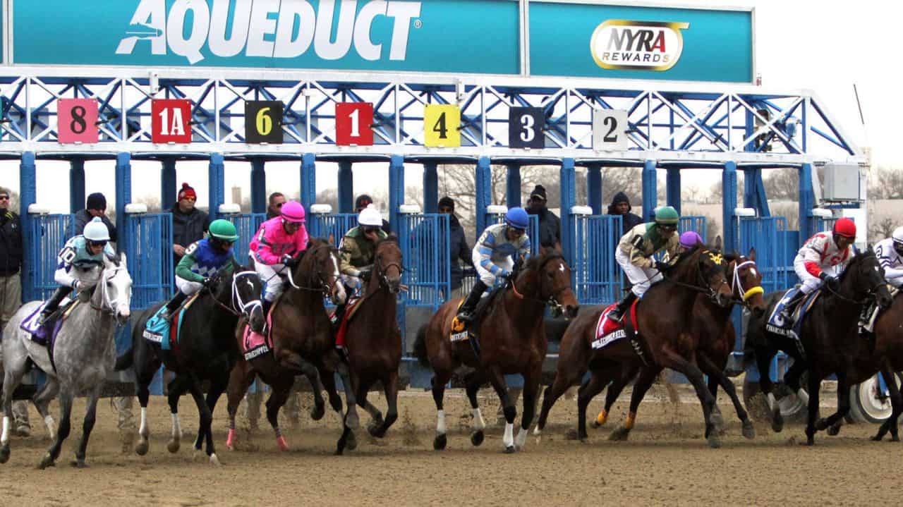 Daily Handle At Aqueduct Fall Meet Shows Solid Improvement Over 2019