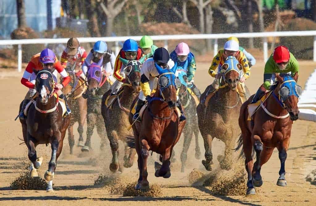 US Thoroughbred Horse Racing Suffers Only Slight Handle Decline In 2020