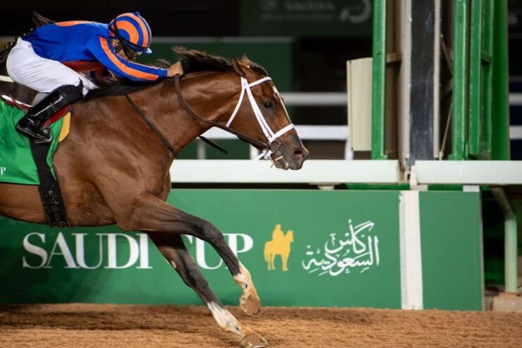 Top US Contenders Point To $20 Million Saudi Cup