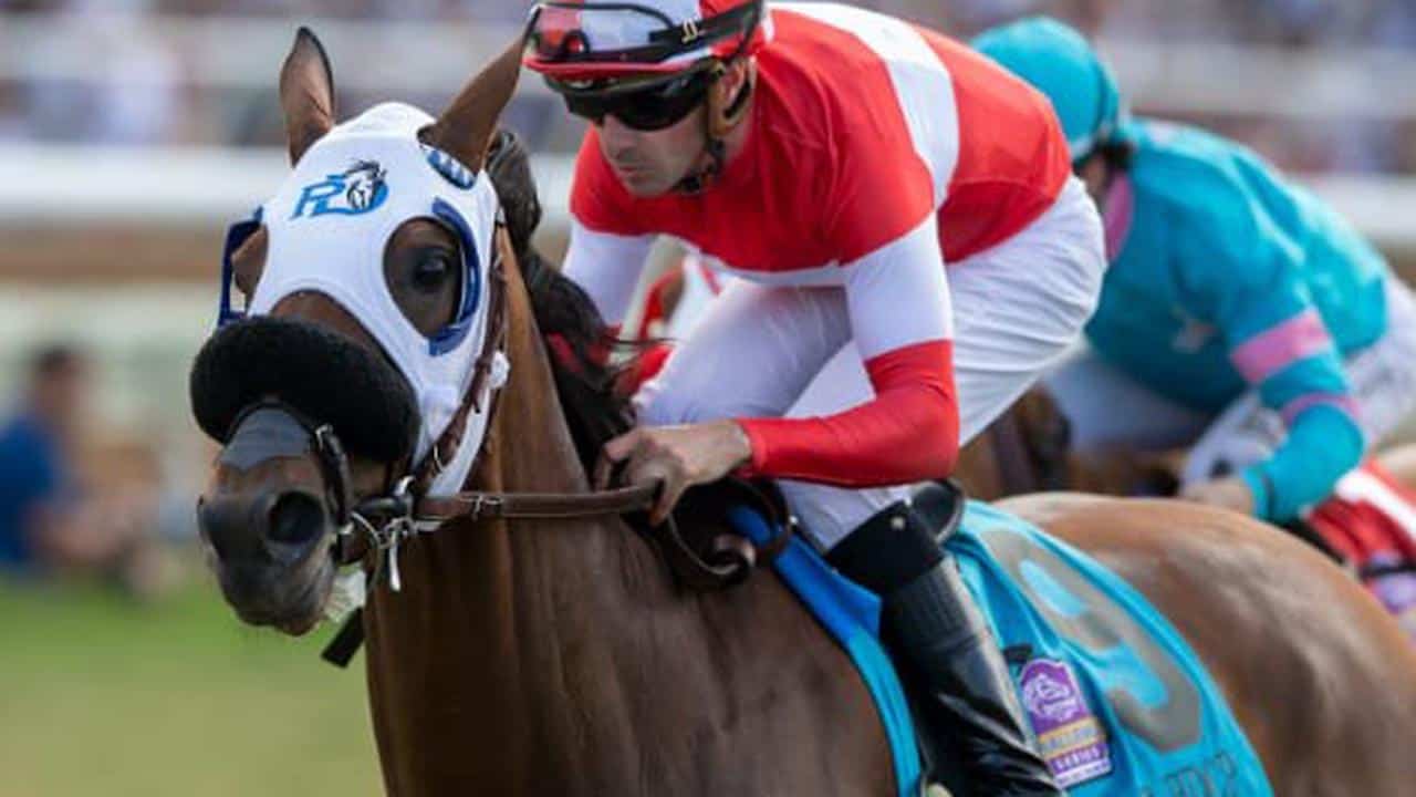 Acclimate Now A Two Time Winner Of San Juan Capistrano Stakes At Santa Anita