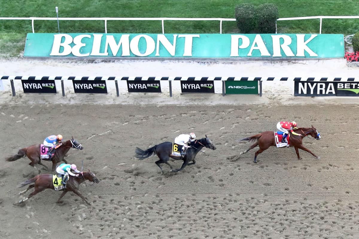 How To Bet The 2021 Belmont Stakes