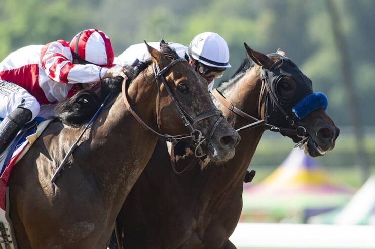 Hollywood Gold Cup Winner Country Grammer Transferred From Baffert To Pletcher