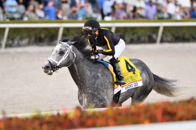 Knicks Go Looks Like Class Of Small Field In Metropolitan Handicap