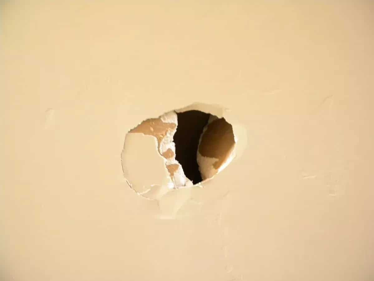 Milwaukee Brewers’ Relief Pitcher Devin Williams Punches Wall, Breaks Hand