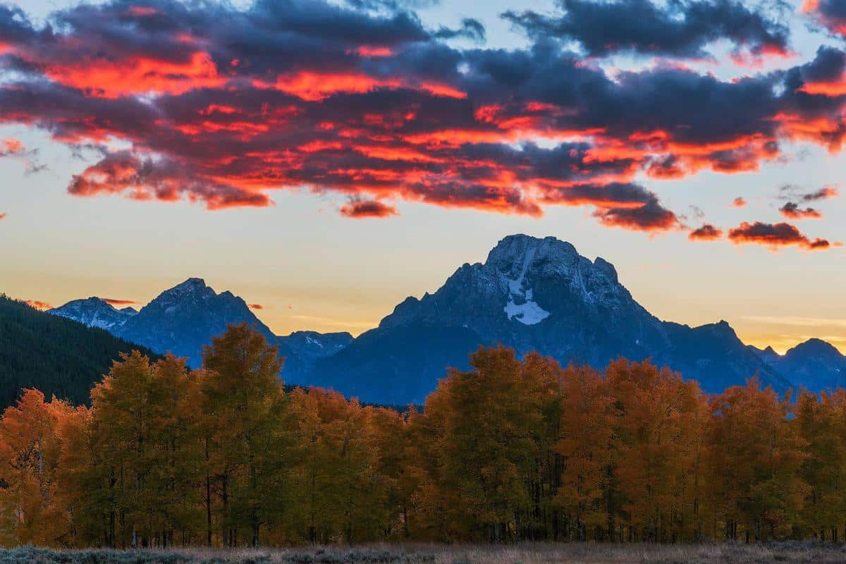 Sports Betting Goes Live In Wyoming With BetMGM and DraftKings First To Market
