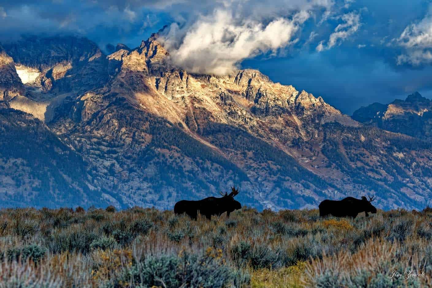 FanDuel Launches Mobile Sports Betting In Wyoming