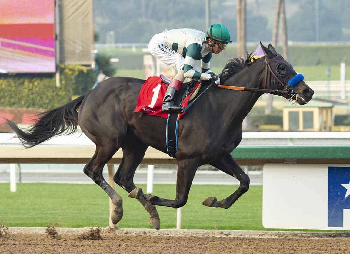 Adare Manor Favored In Field Of 13 For Black Eyed Susan At Pimlico