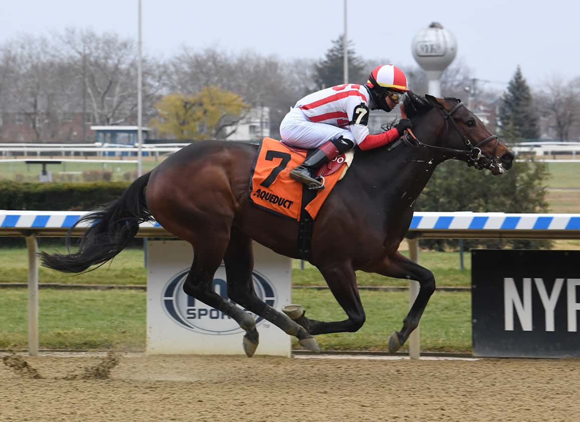 Early Voting To Pass On Belmont Stakes