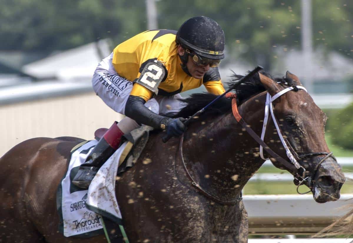 Belmont Contenders Update: Brigadier General Will Pass On Race