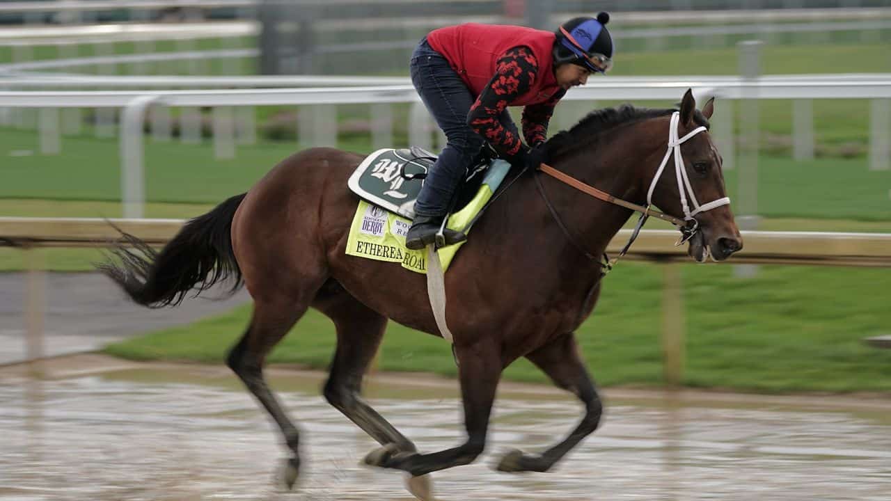 Hoof Injury Will Keep Ethereal Road Out Of Belmont Stakes