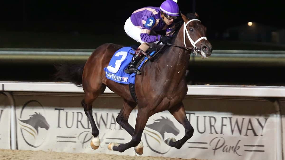 Tawny Port Wins Grade 3, $500,000 USD Ohio Derby