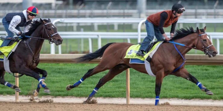 Belmont Winner Mo Donegal Injured, Will Miss Breeders’ Cup
