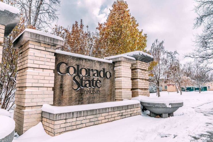 Colorado vs Colorado State: Expert Picks for College Football Week 3 | The SPIN Clip