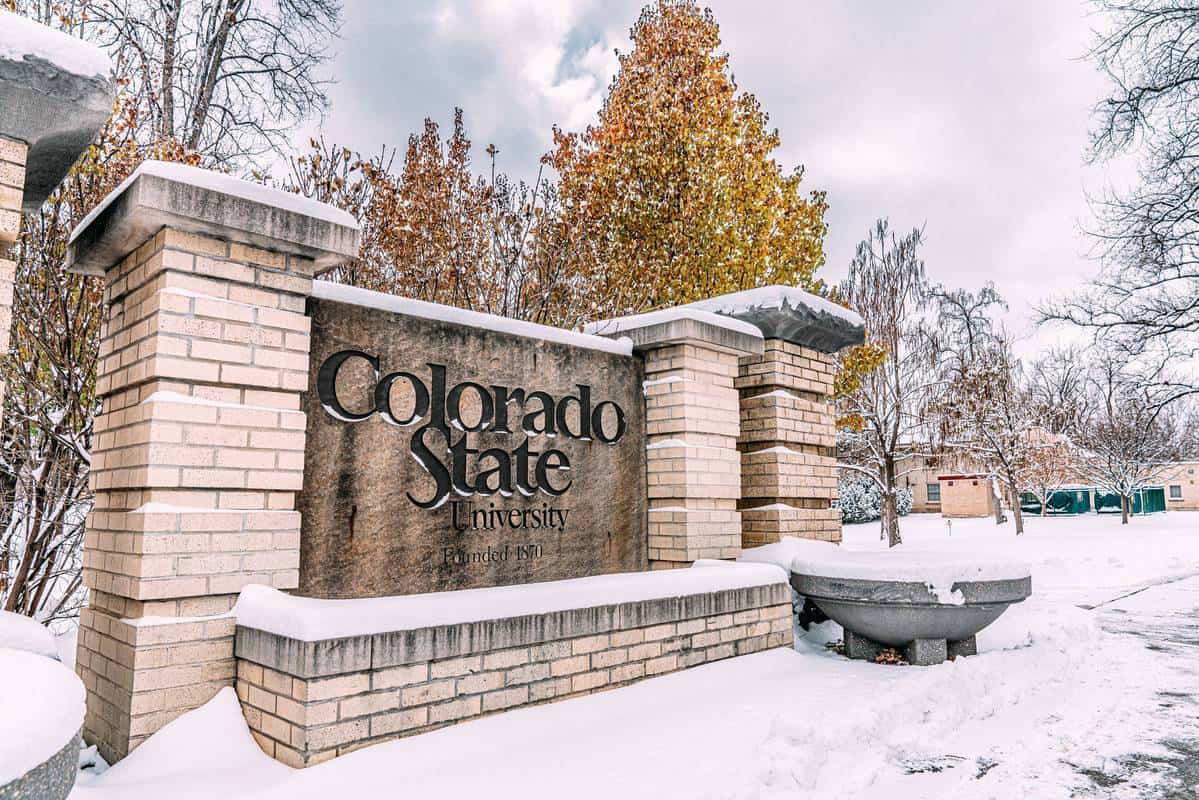 Colorado vs Colorado State: Expert Picks for College Football Week 3 | The SPIN Clip