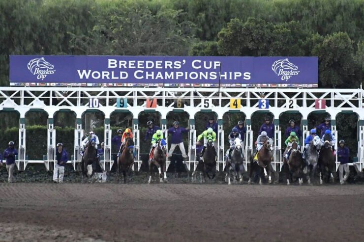 Breeders’ Cup Classic Betting Odds and Predictions